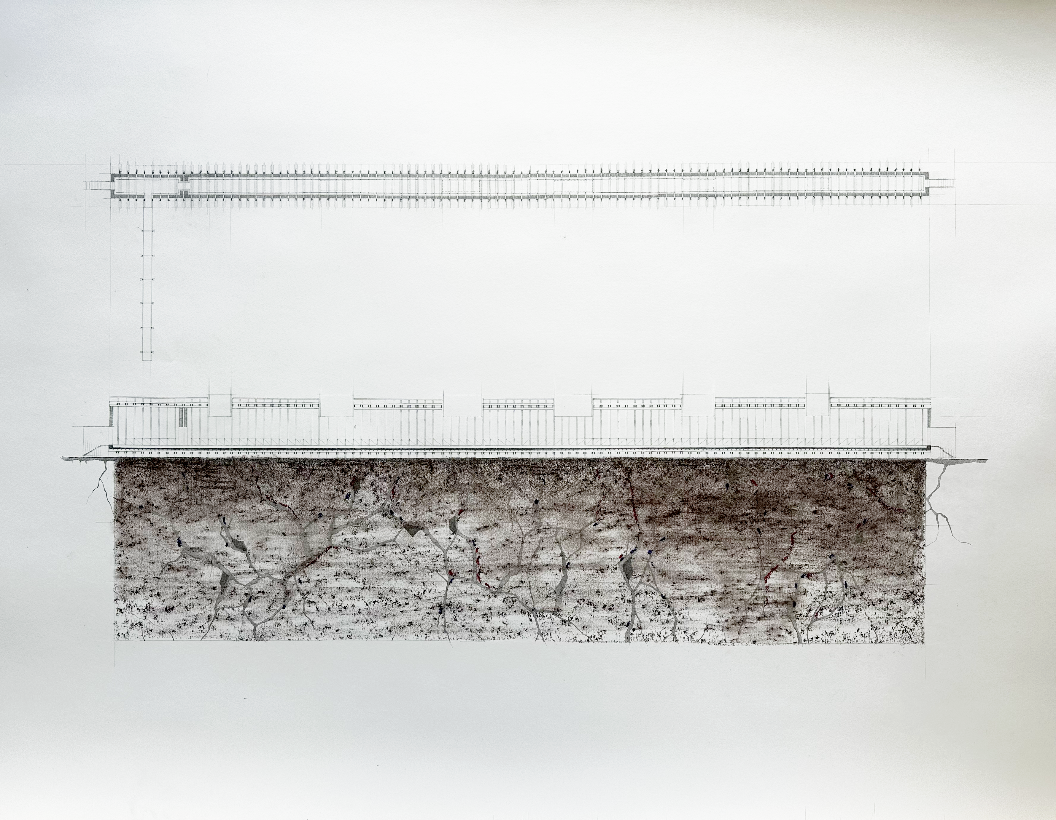 Abbildung_Riernössel_3