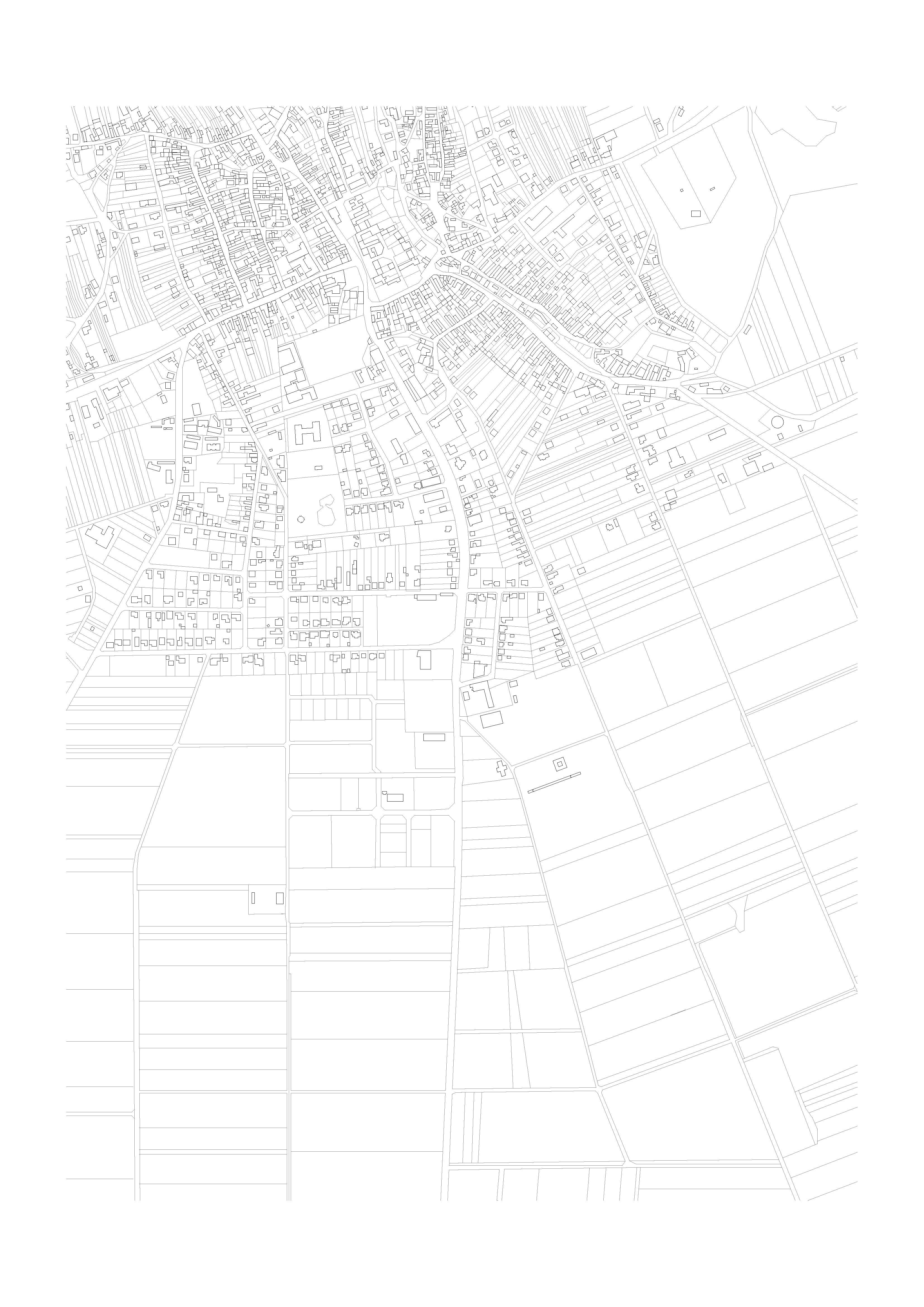 Abbildung_Riernössel_1