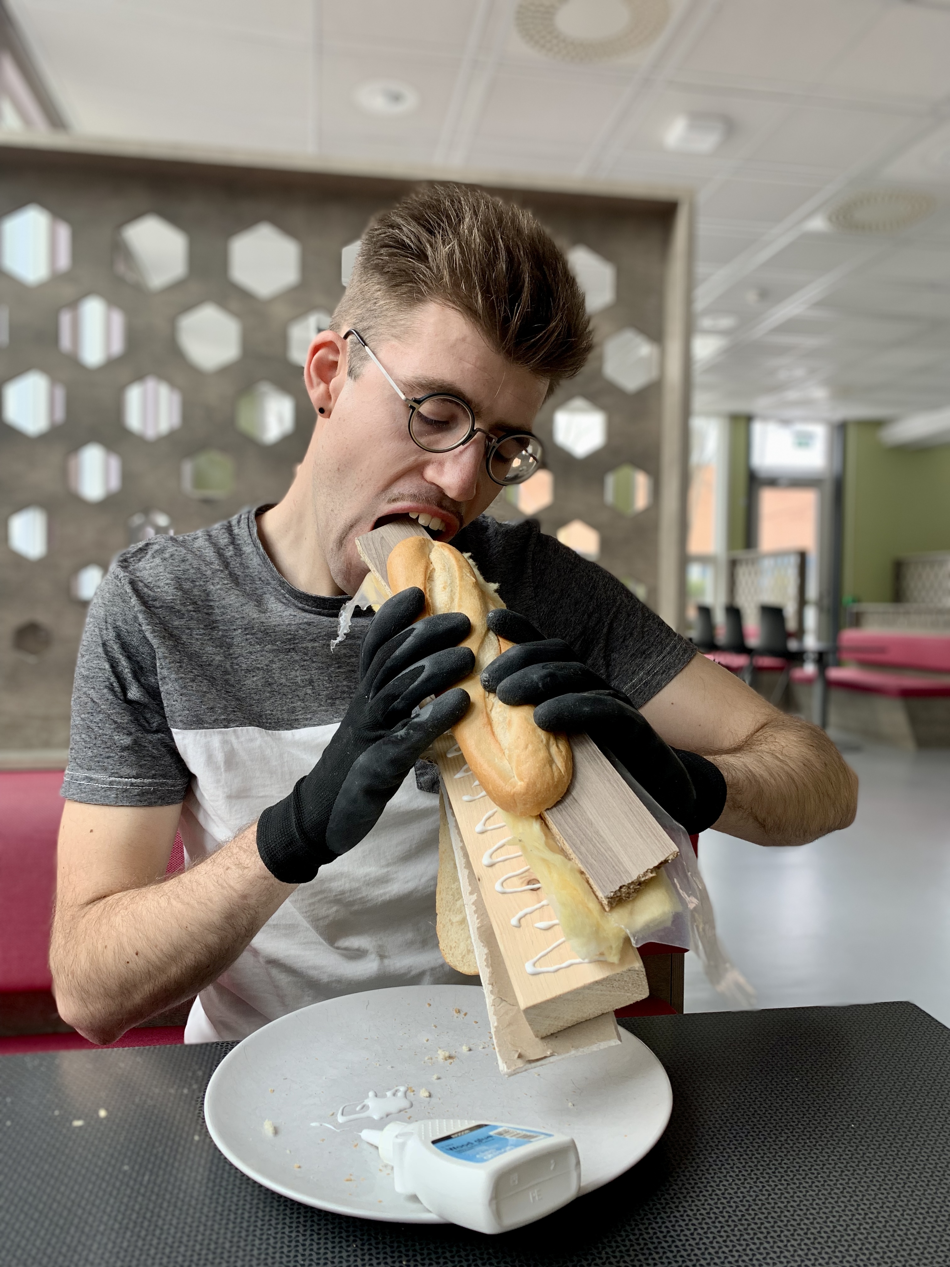 Abbildung_Schneider_01