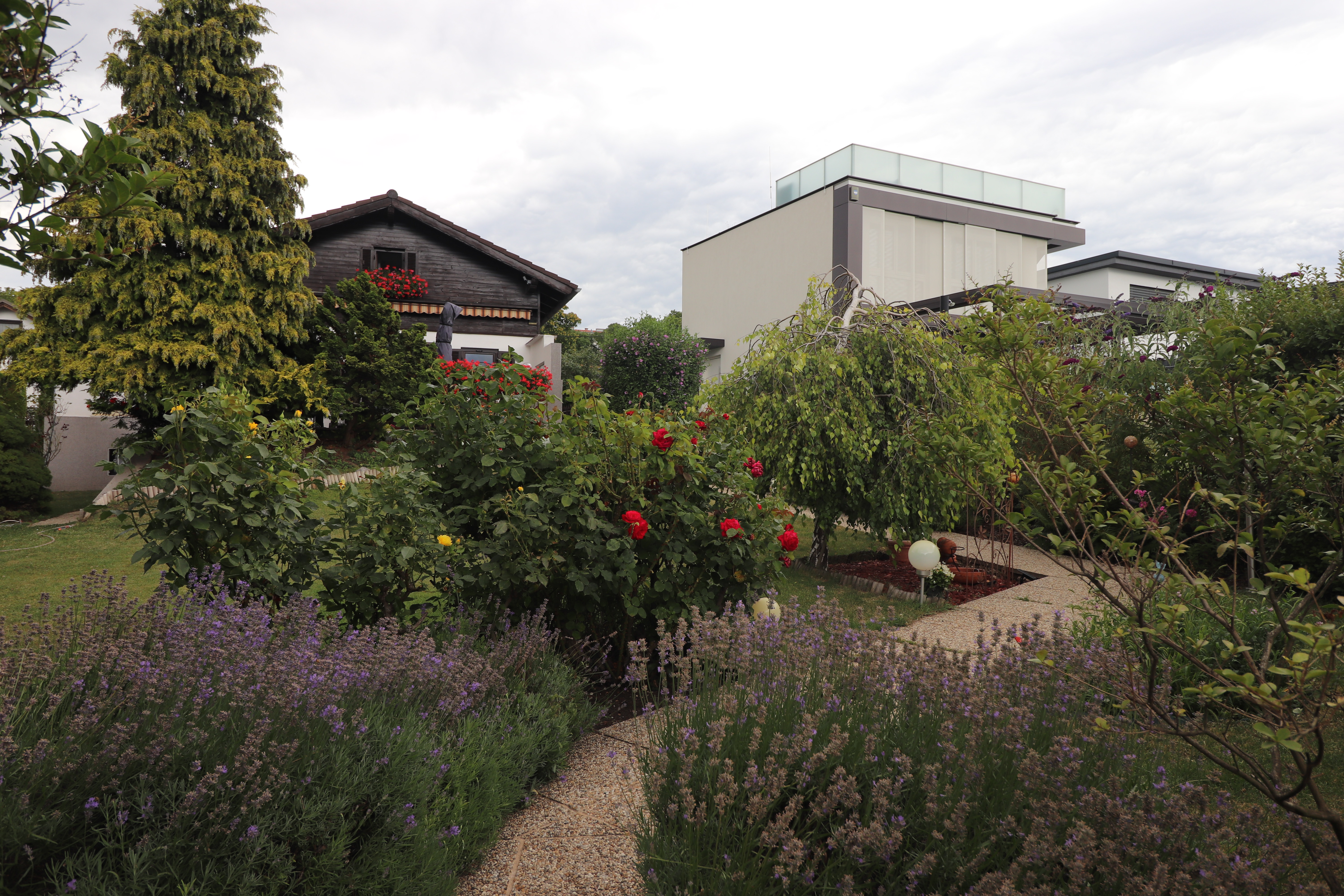 Abbildung_Bernhard_11