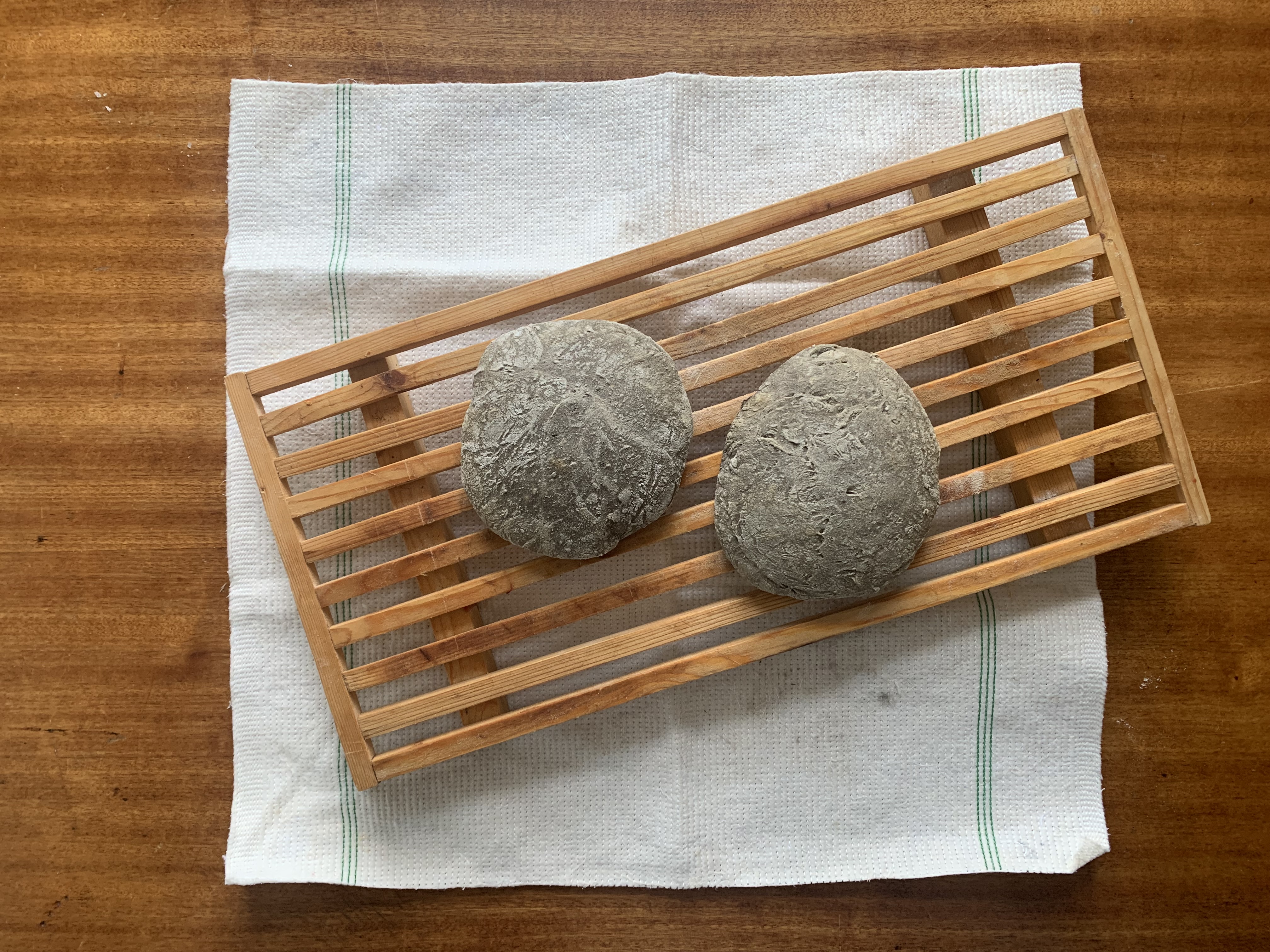 Abbildung_Schneider_11