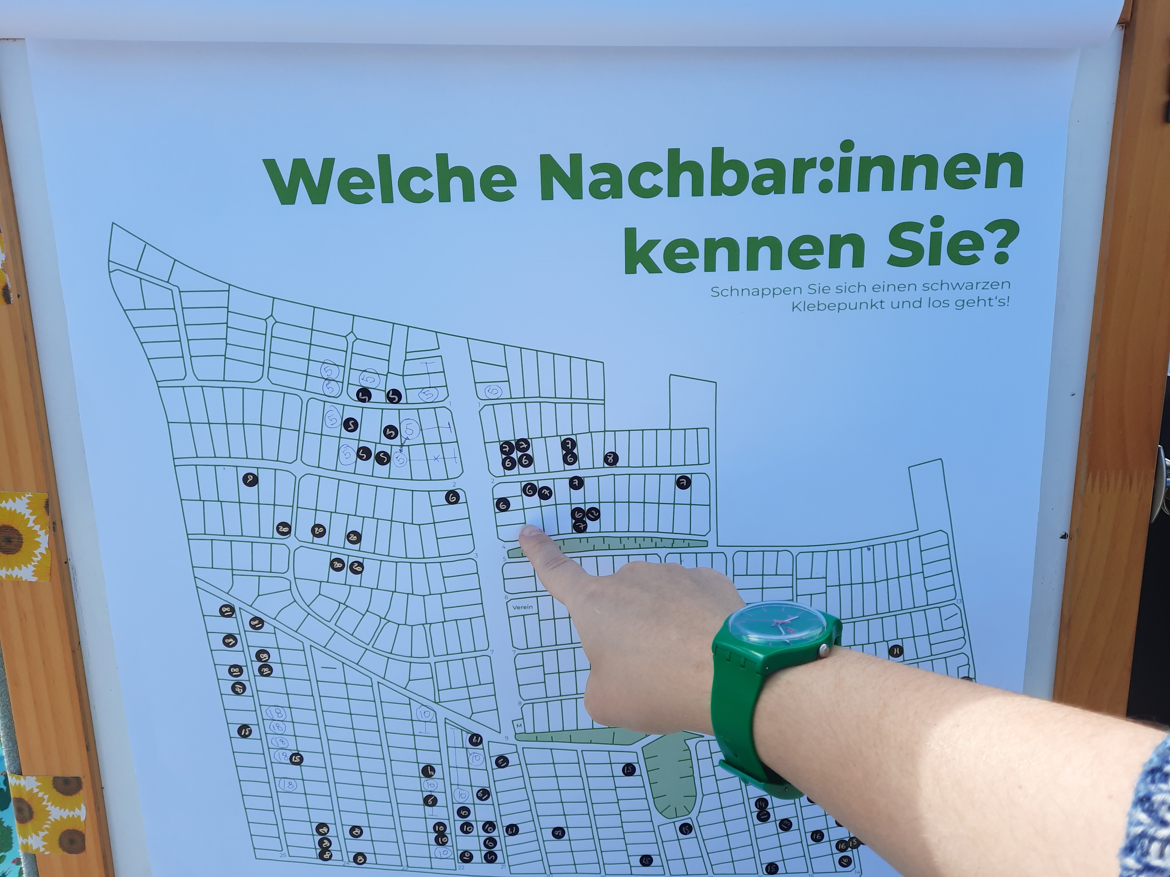 Abbildung_Bernhard_04