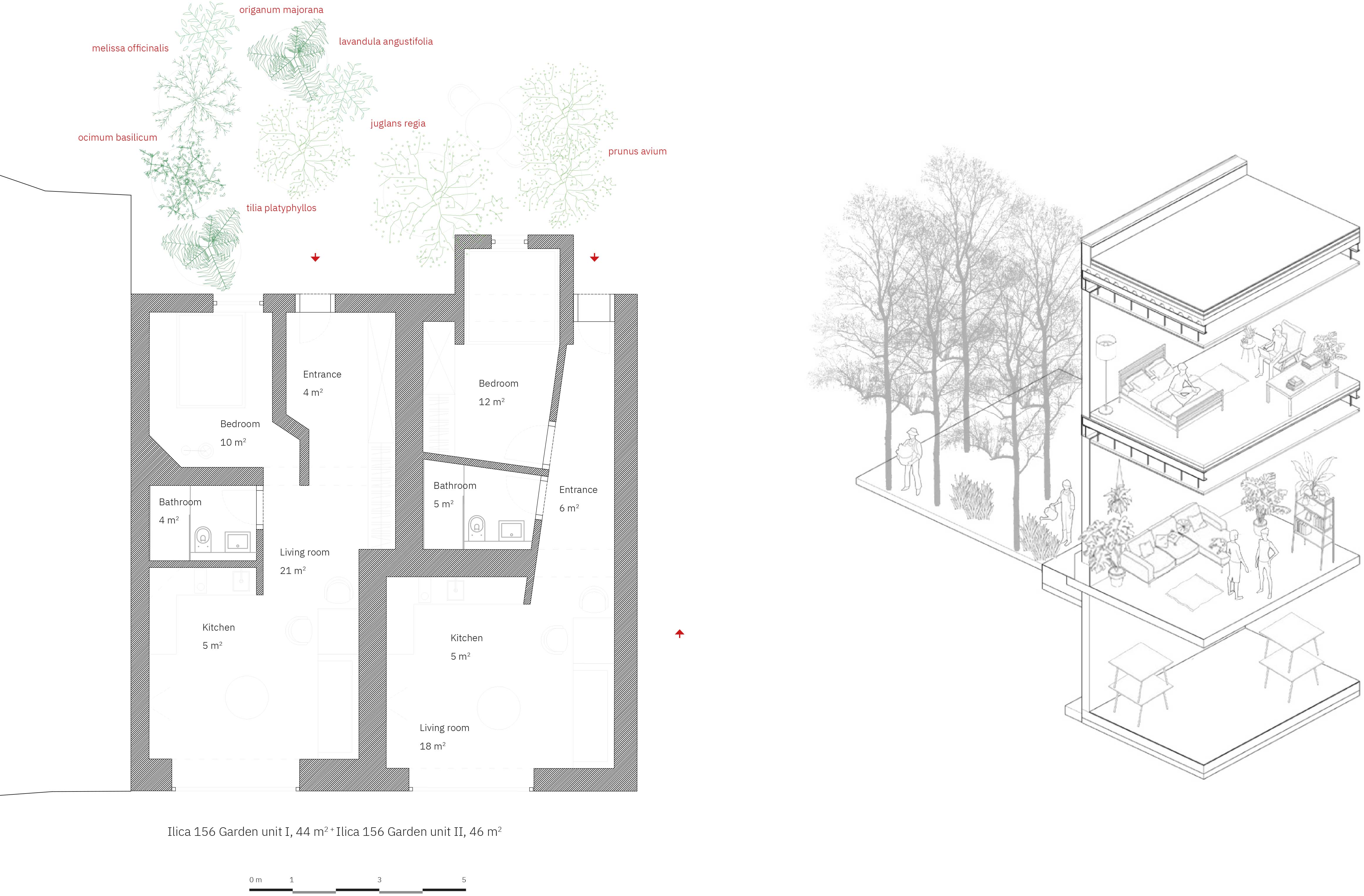 Abbildung_Janzekovic_26