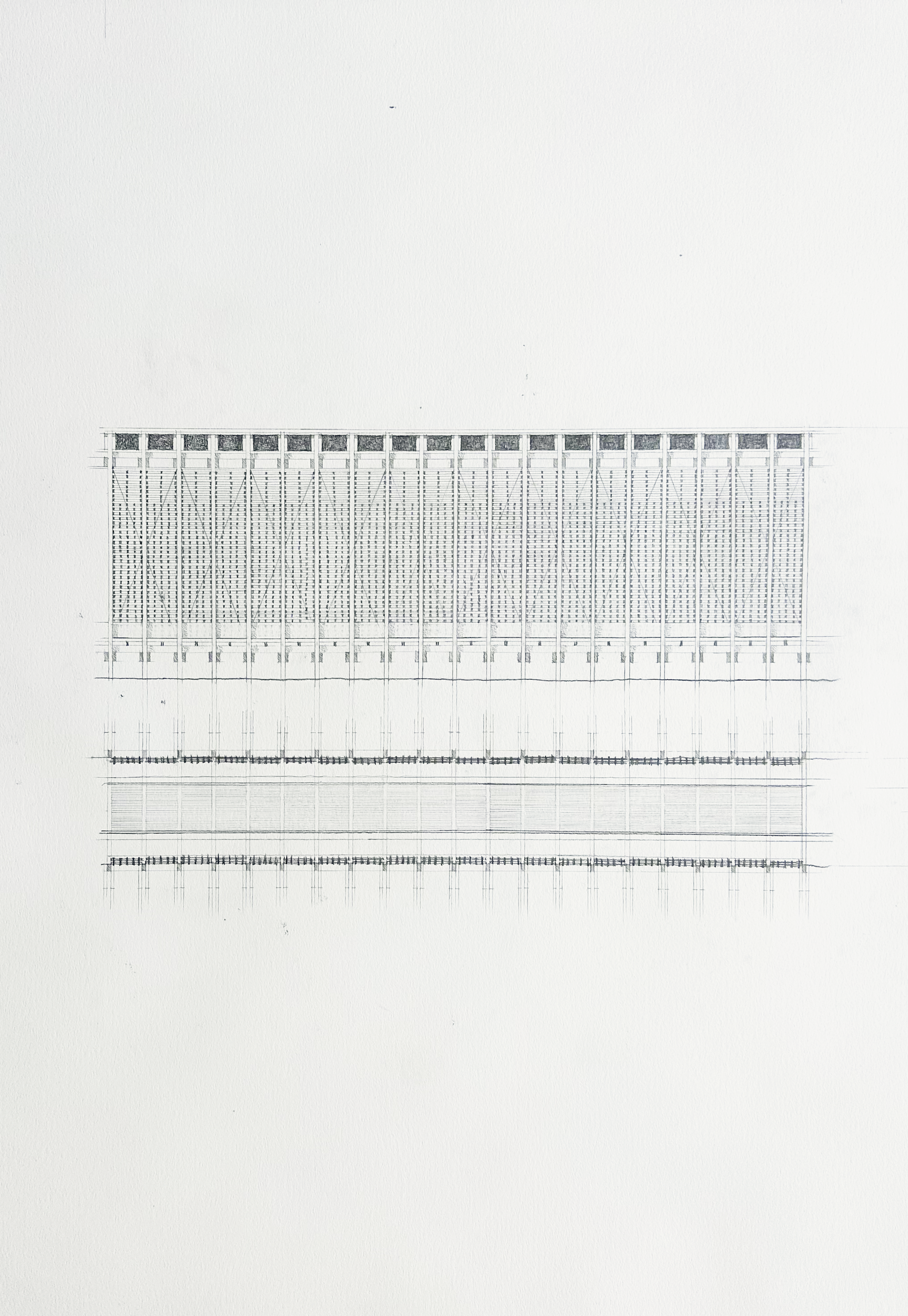 Abbildung_Riernössel_2