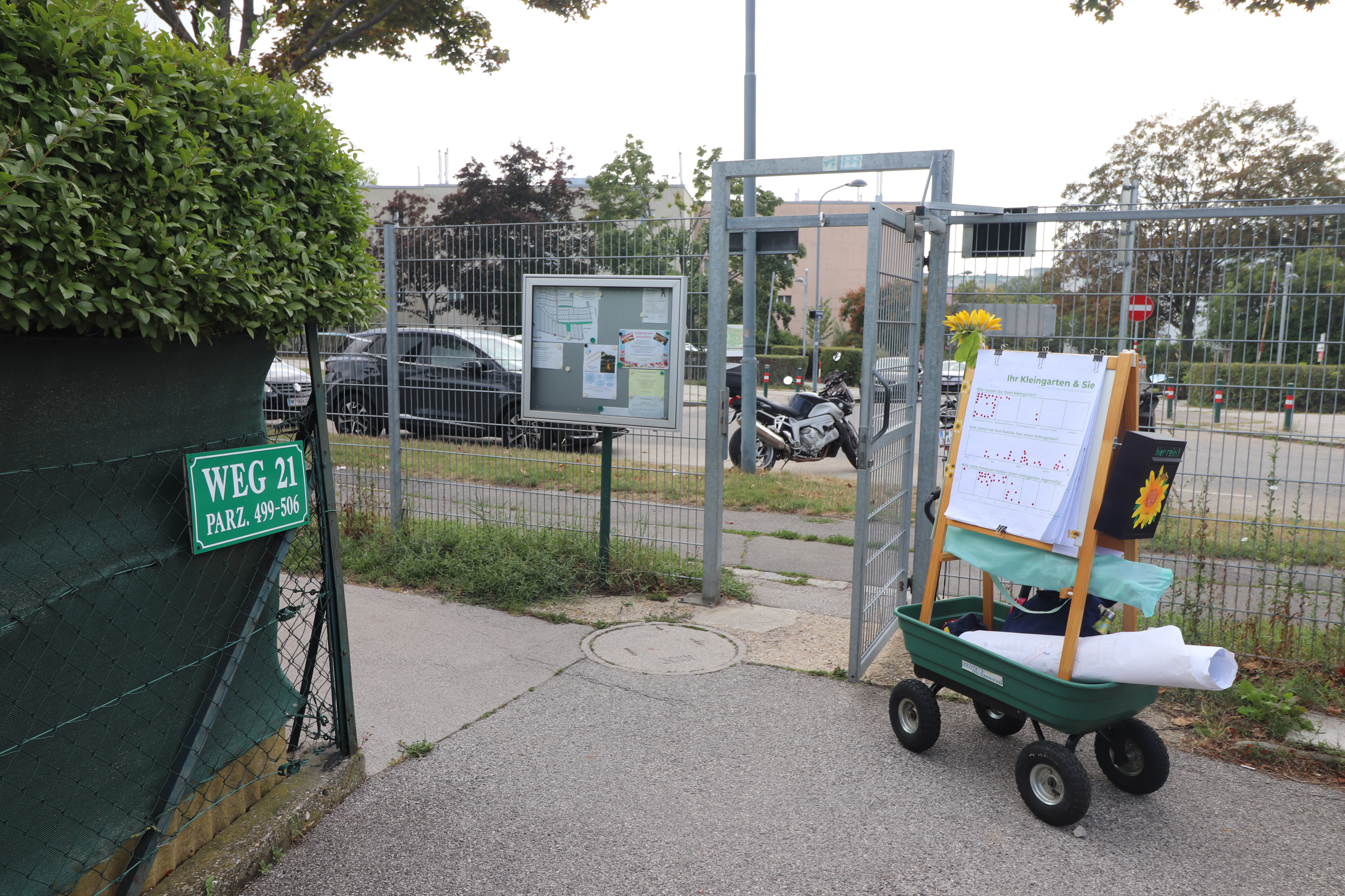 Abbildung_Bernhard_02