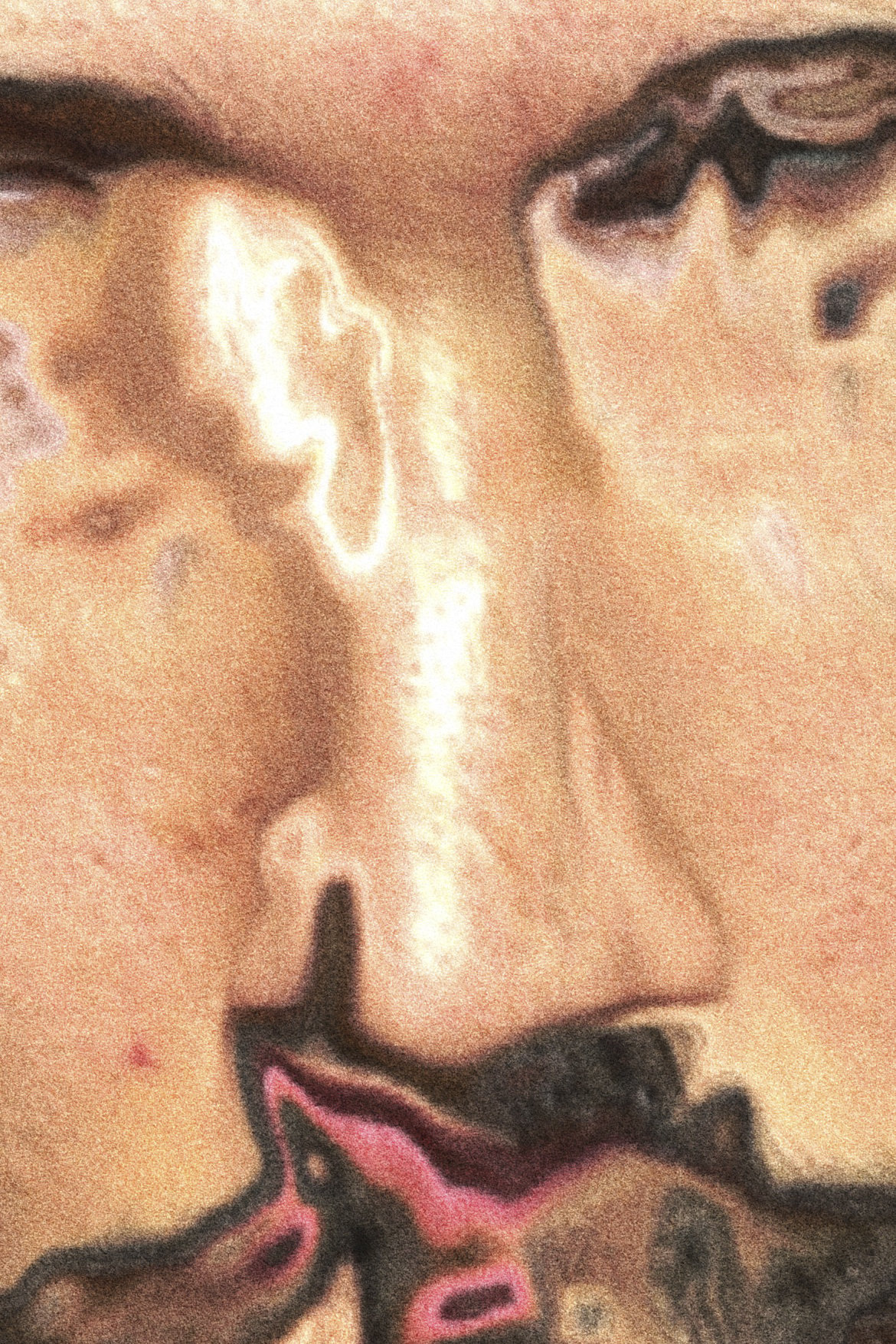 Abbildung_Kitzberger_9