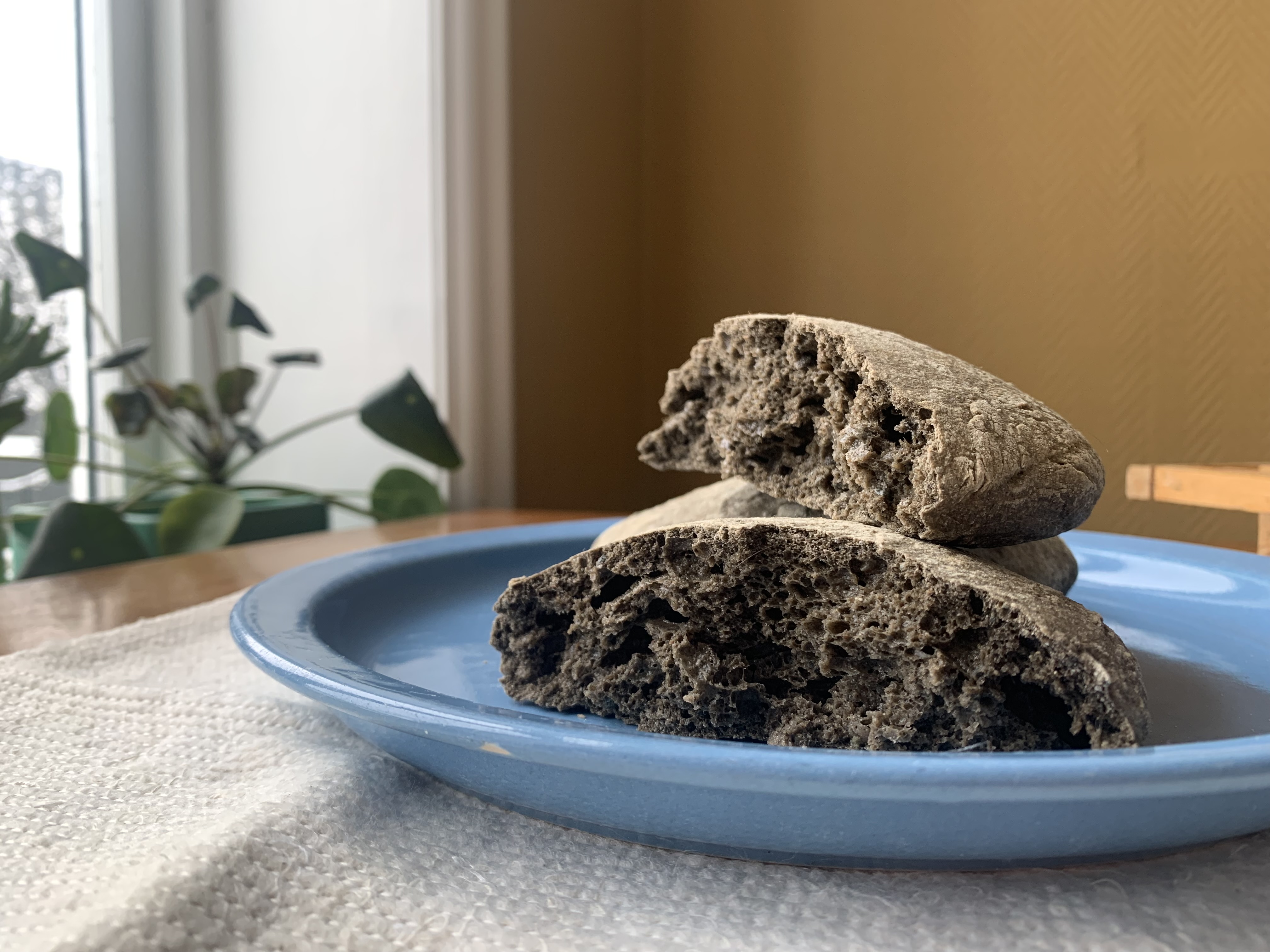 Abbildung_Schneider_12