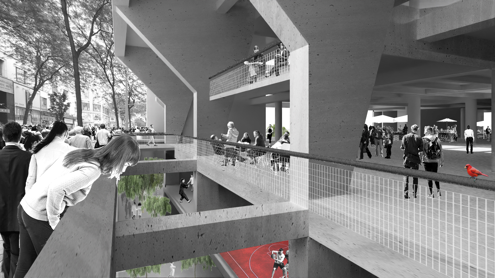 Abbildung_Steixner_06