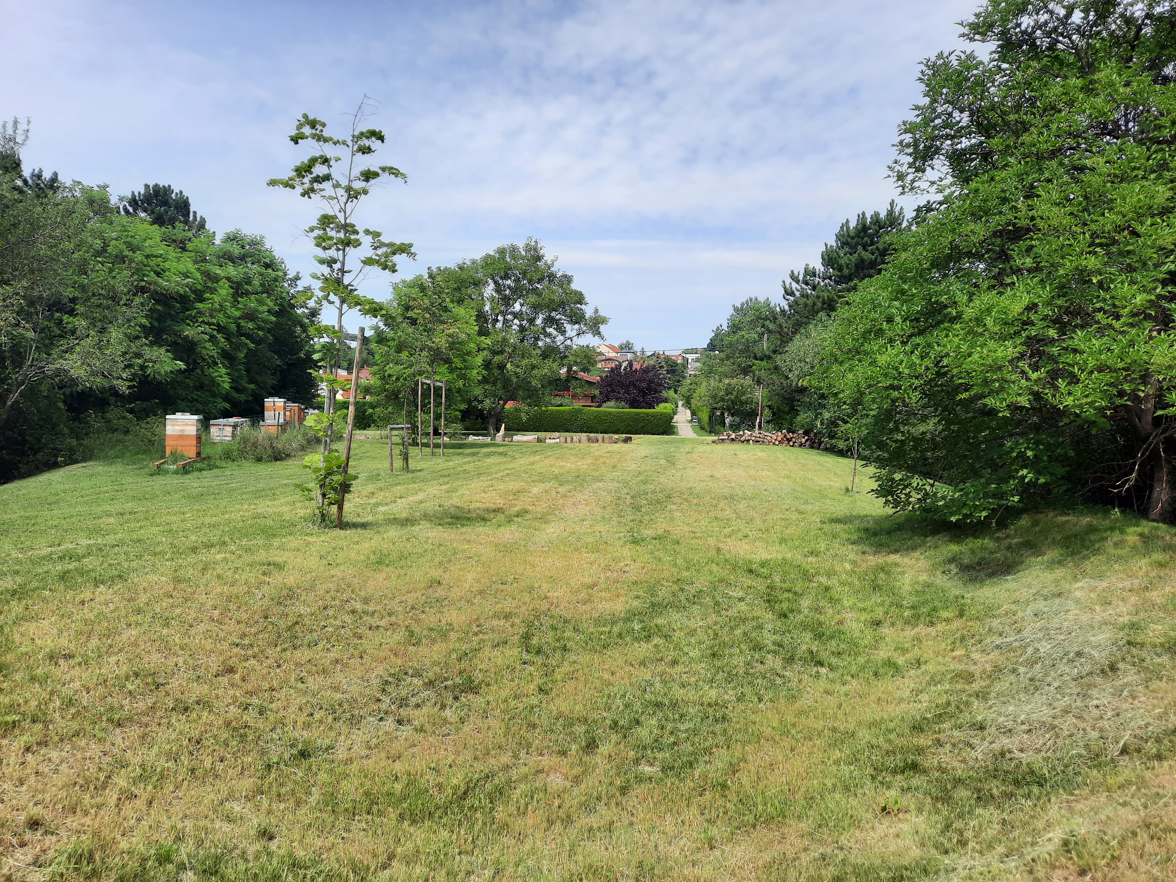 Abbildung_Bernhard_05