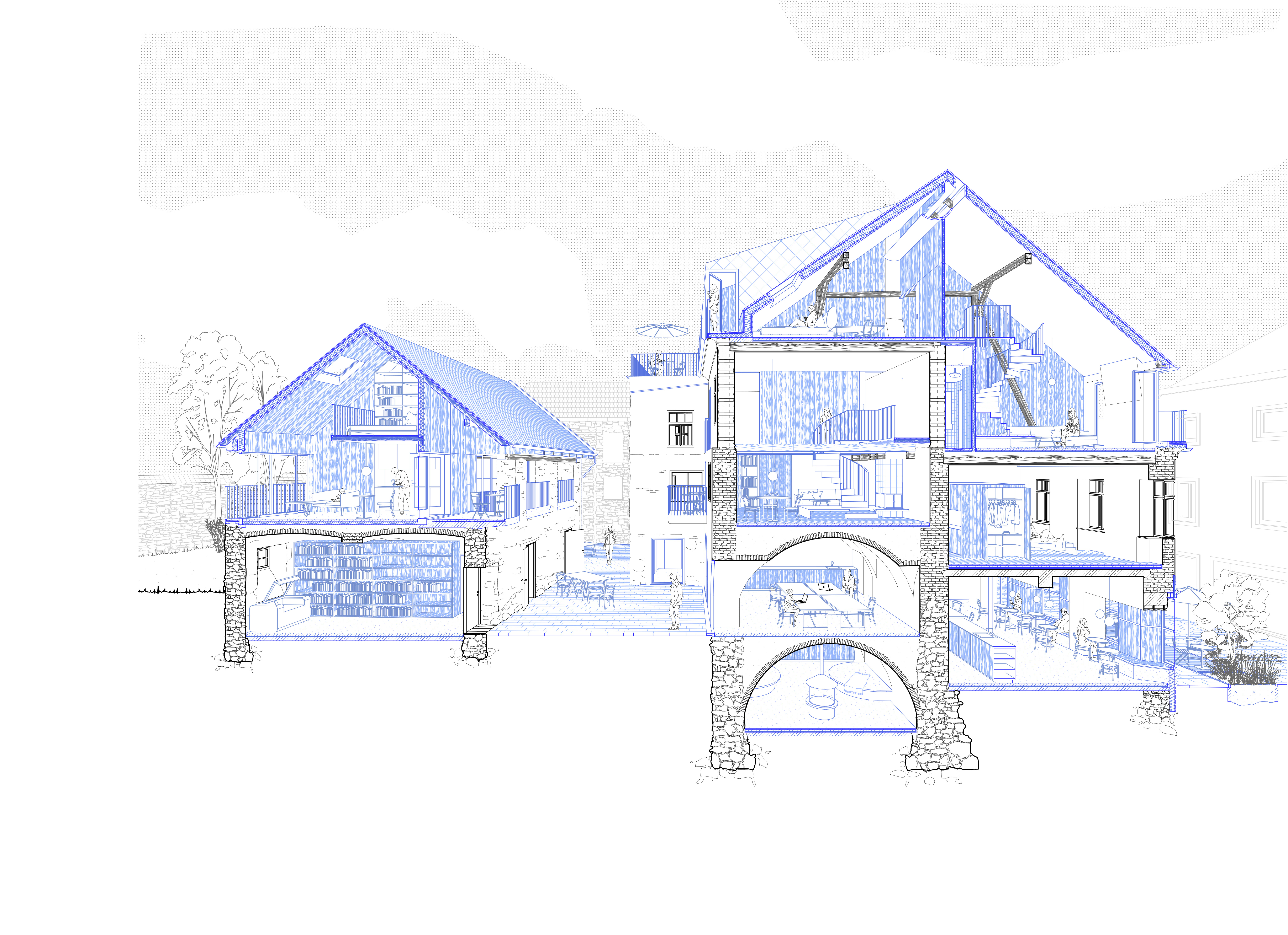 Abbildung_Hollmann_5